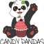 Candy Pandas